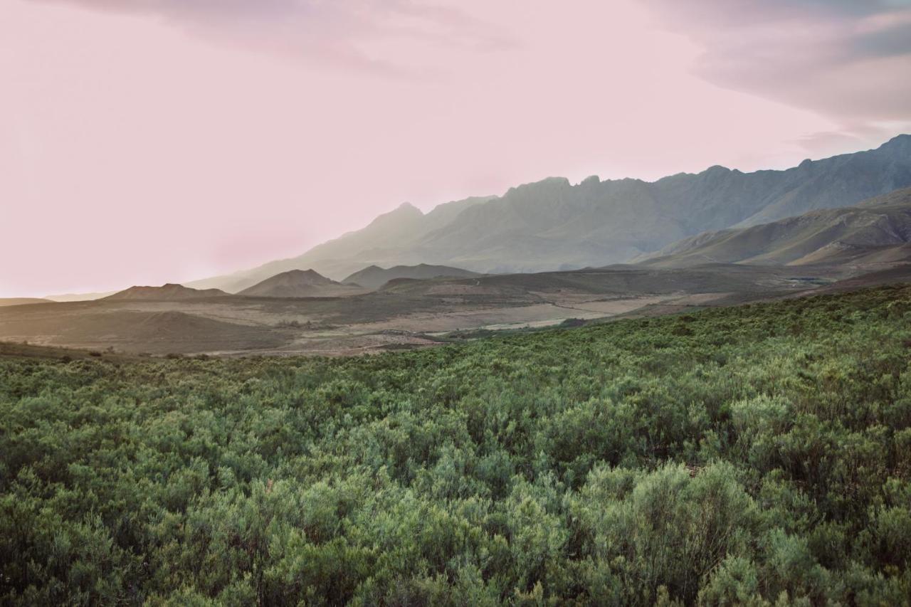 Wildehondekloof Game Lodge Matjiesrivier  Eksteriør billede