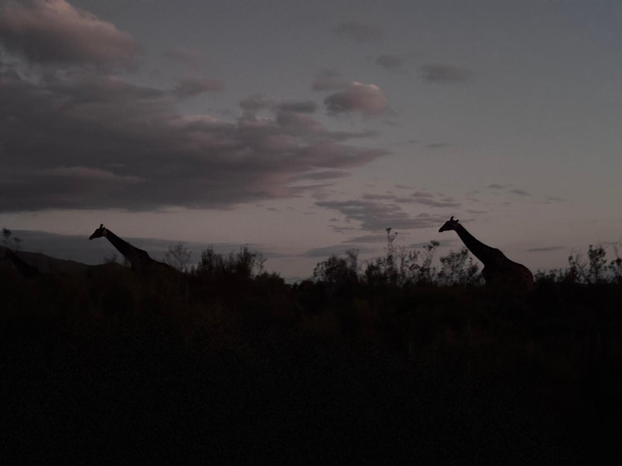 Wildehondekloof Game Lodge Matjiesrivier  Eksteriør billede